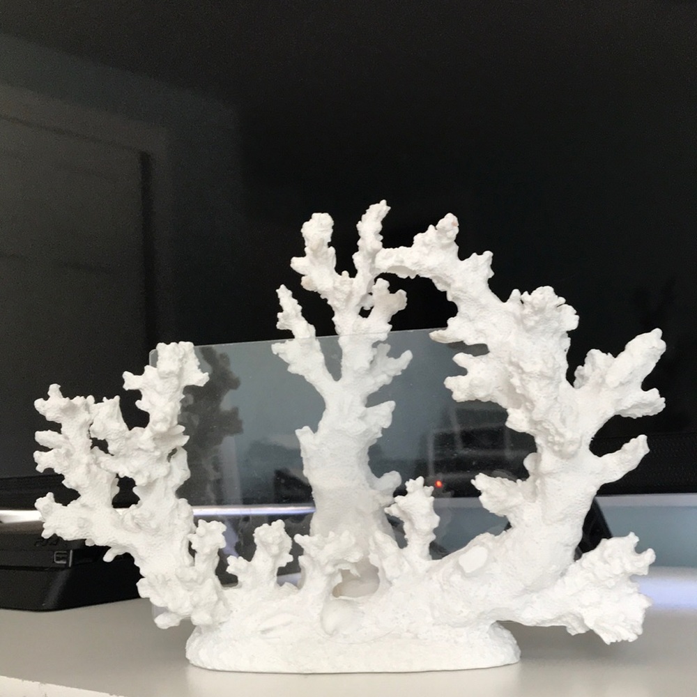 White Coral Reef Picture Frame